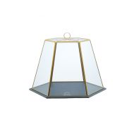 Artesa Glass Serving Cloche with Slate Base