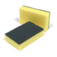 Sponge Back Green Scourer Pack 10